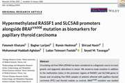 .Hypermethylated RASSF1 and SLC5A8 promoters alongside BRAFV600E mutation as biomarkers for papillary thyroid carcinoma